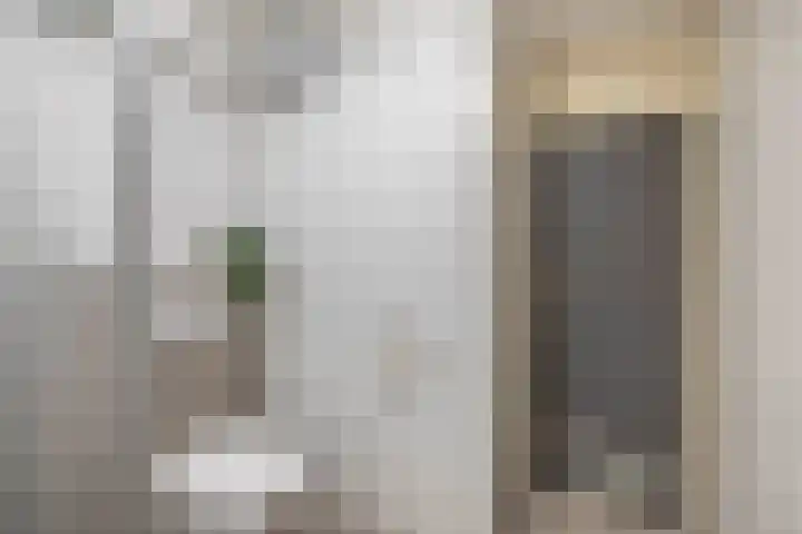 Weidezoom 10 Waddinxveen thumbnail 26