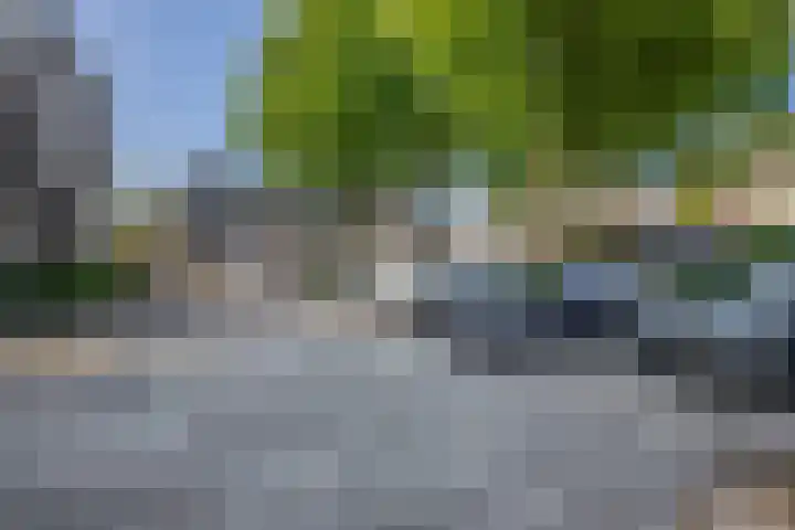 Weidezoom 10 Waddinxveen thumbnail 30