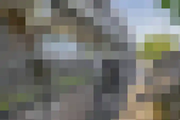 Weidezoom 10 Waddinxveen thumbnail 32