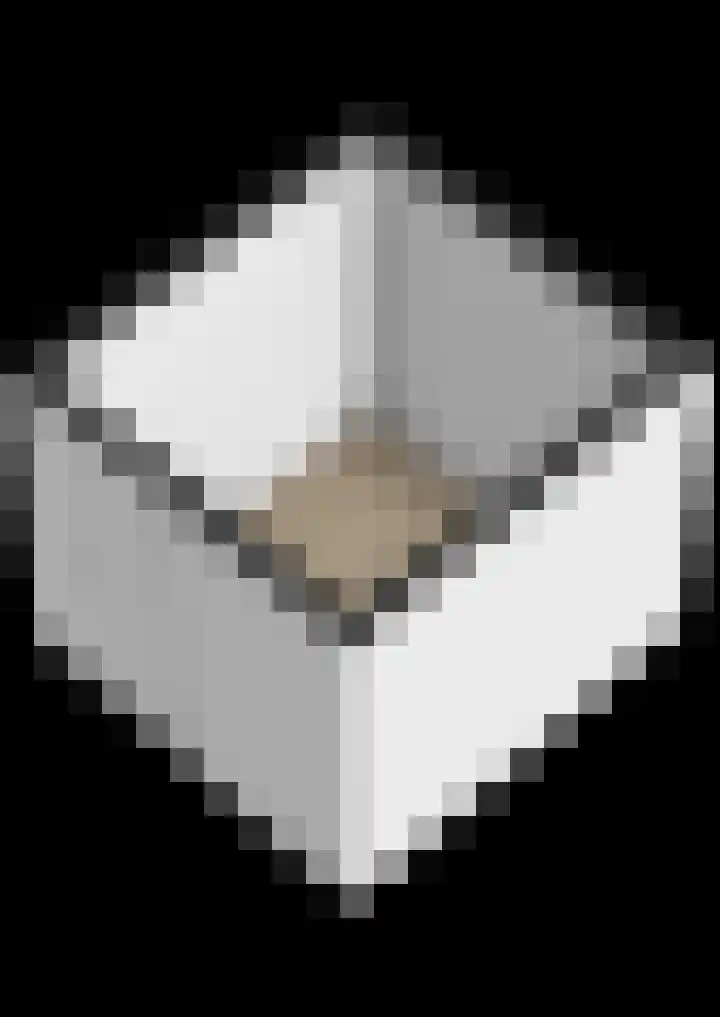 Weidezoom 10 Waddinxveen thumbnail 36