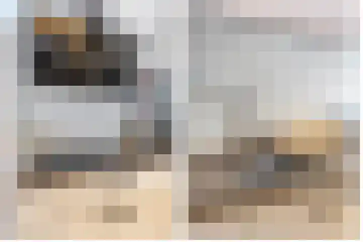 Weidezoom 10 Waddinxveen thumbnail 8