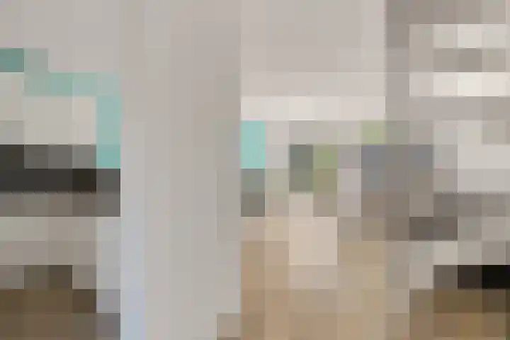 Weidezoom 14 Waddinxveen thumbnail 14