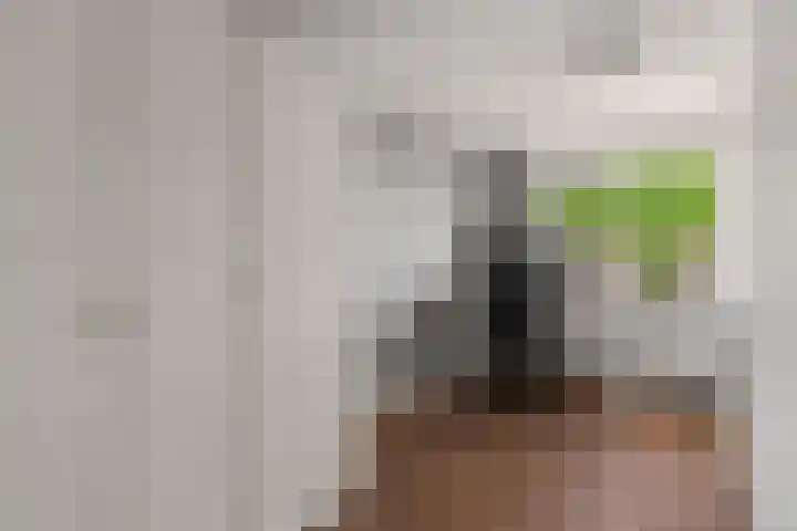 Weidezoom 14 Waddinxveen thumbnail 19