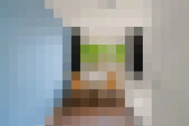 Weidezoom 14 Waddinxveen thumbnail 21