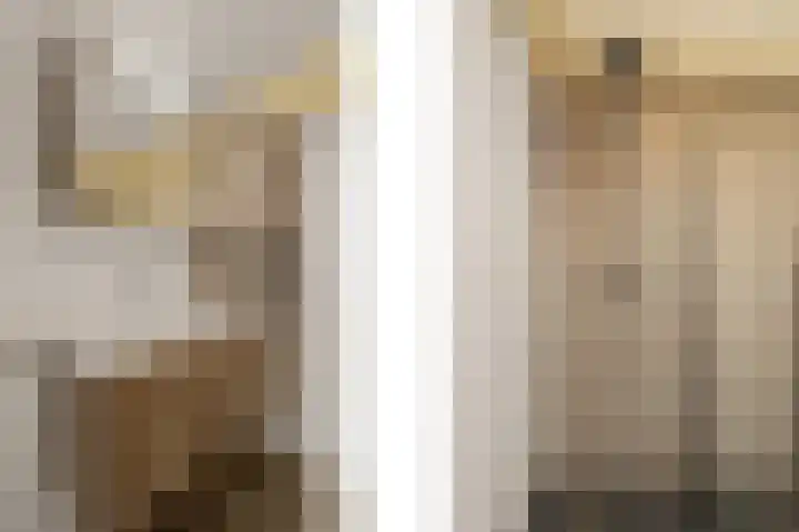 Weidezoom 14 Waddinxveen thumbnail 25