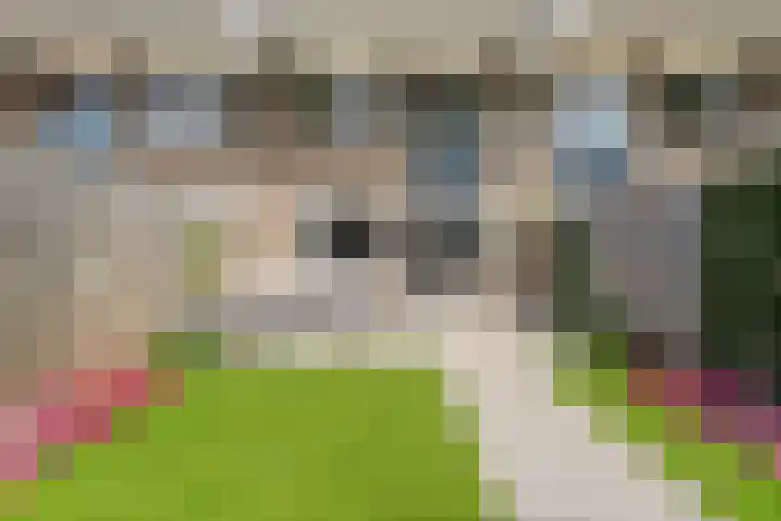 Weidezoom 14 Waddinxveen thumbnail 26