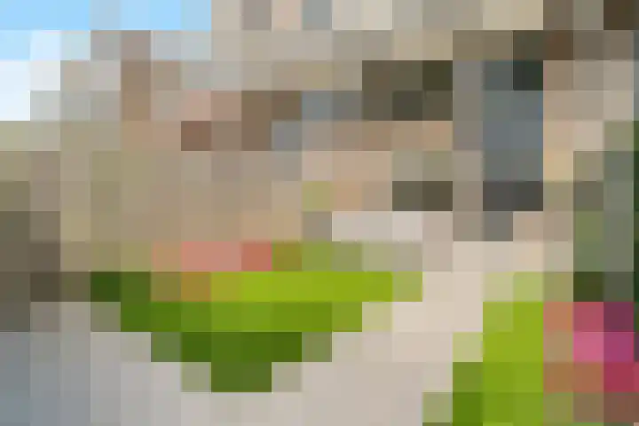 Weidezoom 14 Waddinxveen thumbnail 27