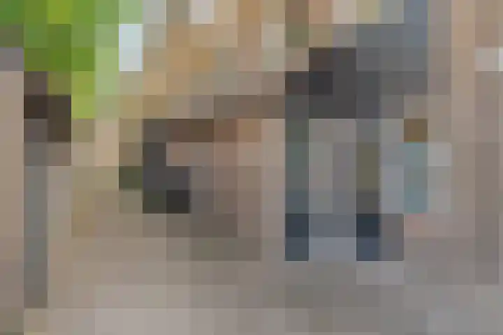 Weidezoom 14 Waddinxveen thumbnail 28