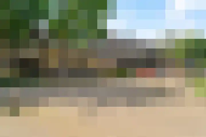 Weidezoom 14 Waddinxveen thumbnail 29