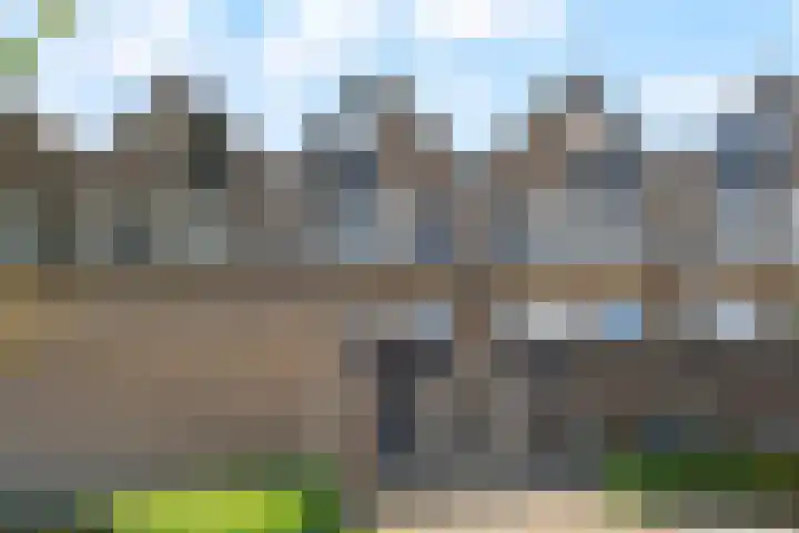 Weidezoom 14 Waddinxveen thumbnail 34