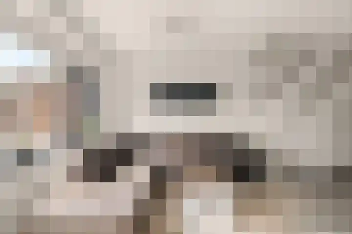 Weidezoom 14 Waddinxveen thumbnail 8