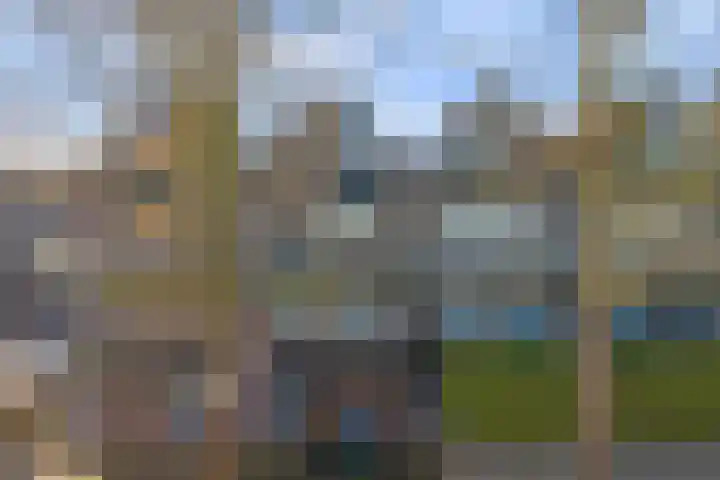 Weidezoom 22 Waddinxveen