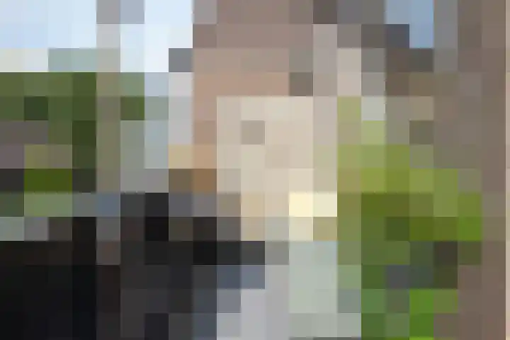 Weidezoom 32 Waddinxveen thumbnail 20