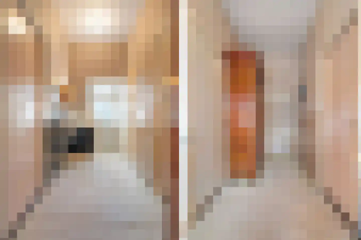 Weidezoom 32 Waddinxveen thumbnail 34