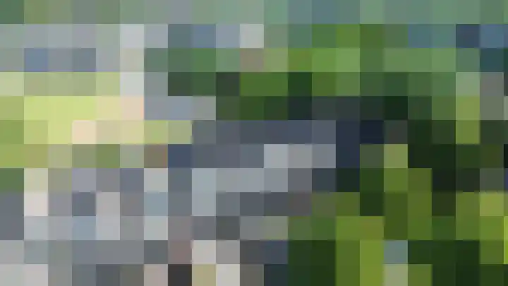 Weidezoom 32 Waddinxveen thumbnail 7