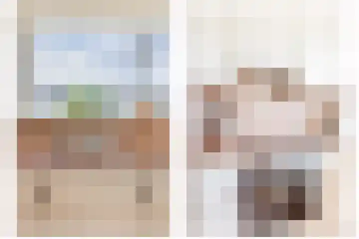 Weidezoom 33 Waddinxveen thumbnail 14