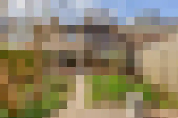 Weidezoom 33 Waddinxveen thumbnail 22