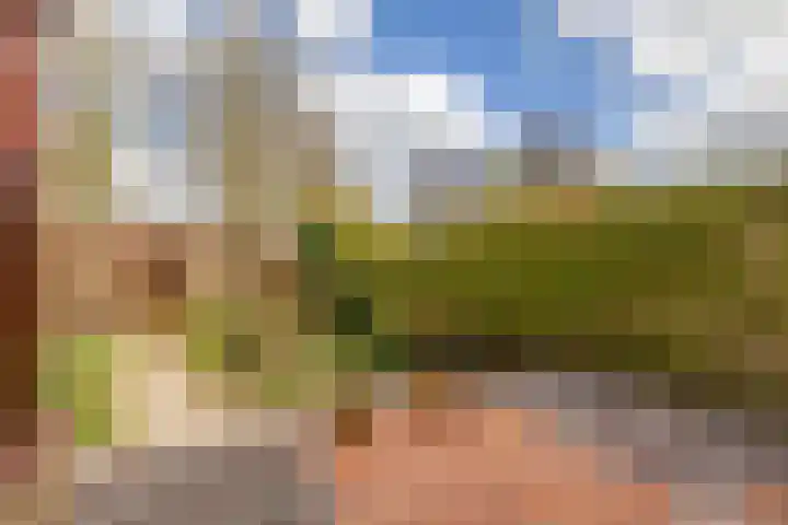 Weidezoom 33 Waddinxveen thumbnail 23