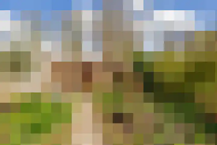Weidezoom 33 Waddinxveen thumbnail 24