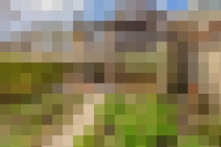 Weidezoom 33 Waddinxveen thumbnail 25