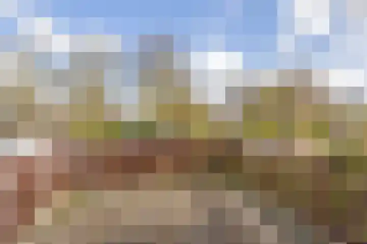 Weidezoom 33 Waddinxveen thumbnail 30