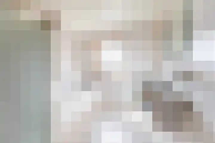Weidezoom 33 Waddinxveen thumbnail 31