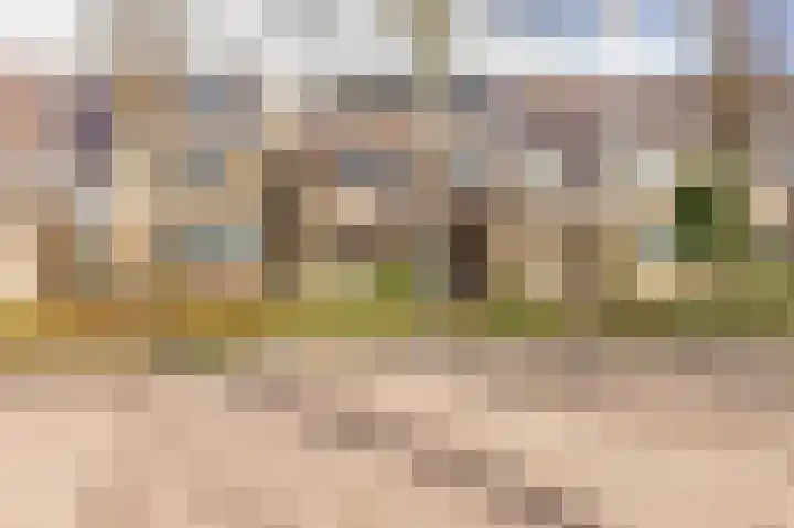 Weidezoom 33 Waddinxveen thumbnail 41