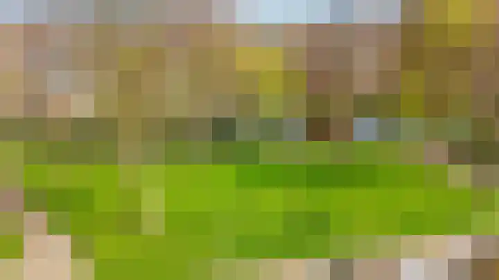 Weidezoom 33 Waddinxveen thumbnail 44