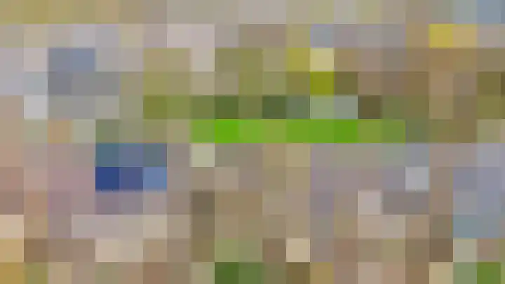 Weidezoom 33 Waddinxveen thumbnail 47