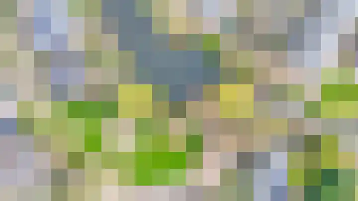 Weidezoom 33 Waddinxveen thumbnail 48