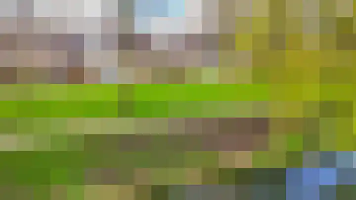 Weidezoom 33 Waddinxveen thumbnail 49