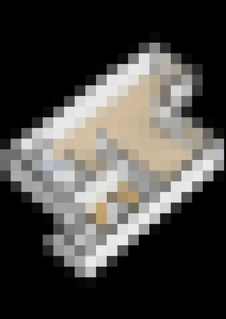 Weidezoom 33 Waddinxveen thumbnail 53