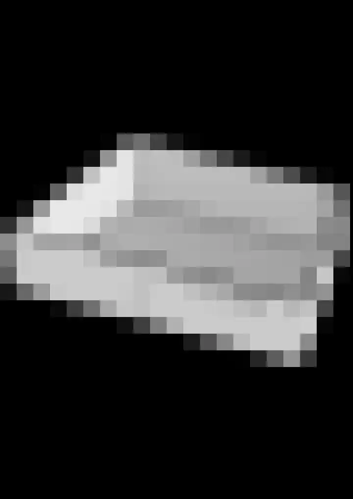 Weidezoom 33 Waddinxveen thumbnail 59