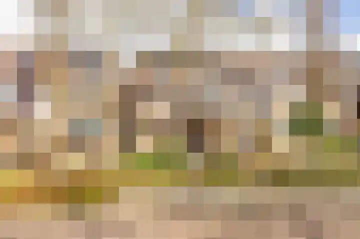 Weidezoom 33 Waddinxveen thumbnail 7