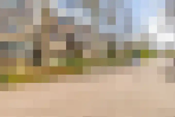 Weidezoom 33 Waddinxveen thumbnail 8