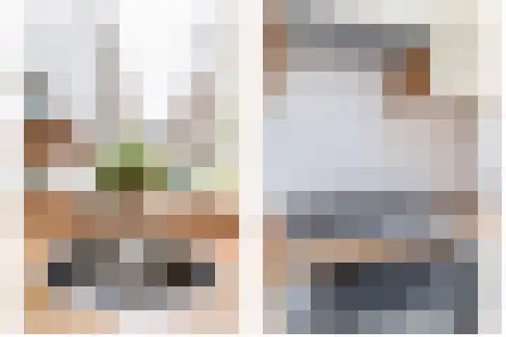 Weidezoom 51 Waddinxveen thumbnail 12