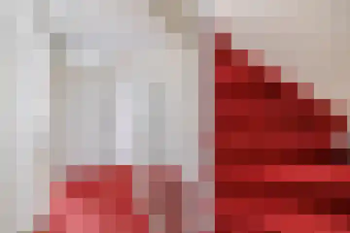 Weidezoom 51 Waddinxveen thumbnail 16