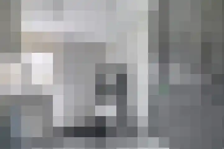 Weidezoom 51 Waddinxveen thumbnail 23