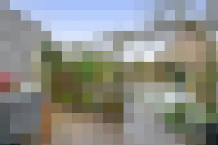 Weidezoom 51 Waddinxveen thumbnail 30