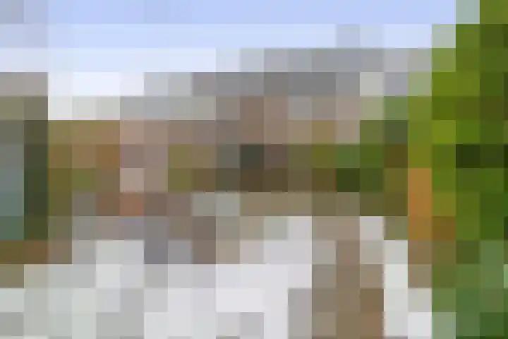 Weidezoom 51 Waddinxveen thumbnail 31