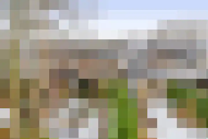 Weidezoom 51 Waddinxveen thumbnail 32
