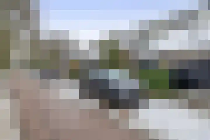Weidezoom 51 Waddinxveen thumbnail 34