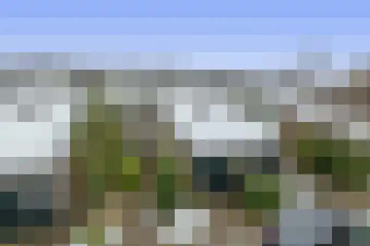 Weidezoom 51 Waddinxveen thumbnail 36