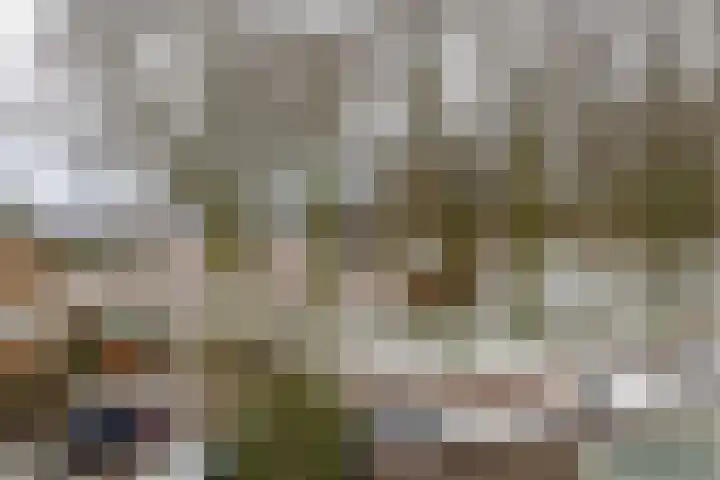Weidezoom 51 Waddinxveen thumbnail 4
