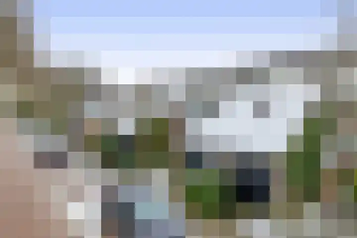 Weidezoom 51 Waddinxveen thumbnail 40