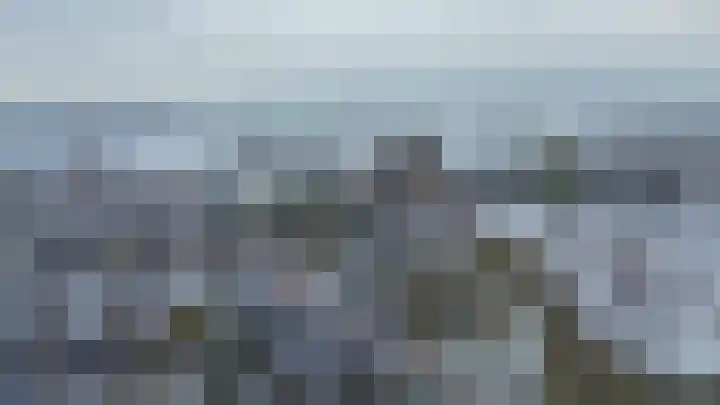 Weidezoom 51 Waddinxveen thumbnail 43