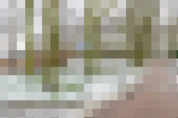 Weidezoom 51 Waddinxveen thumbnail 45