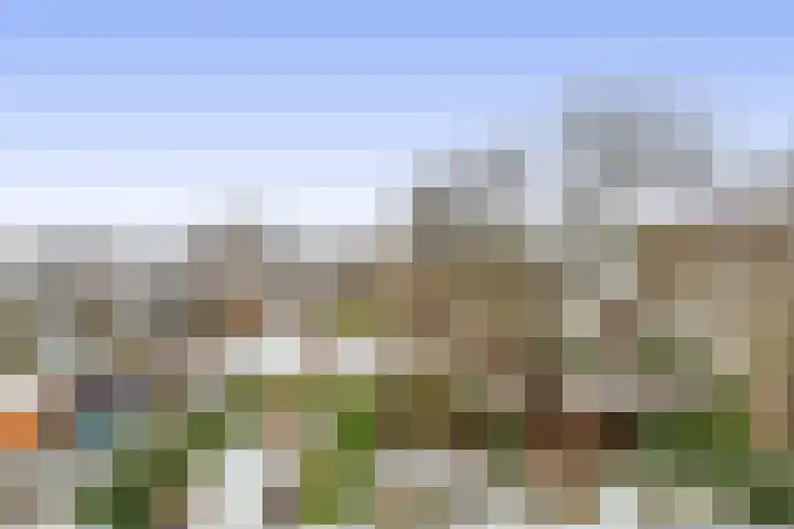 Weidezoom 51 Waddinxveen thumbnail 46