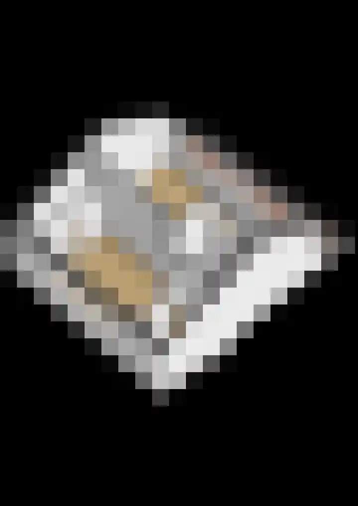 Weidezoom 51 Waddinxveen thumbnail 54