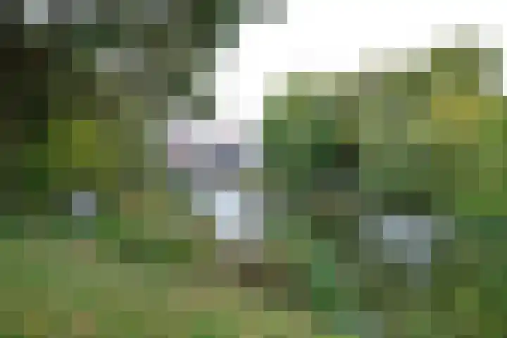 Weidmanlaan 59 Ede thumbnail 26